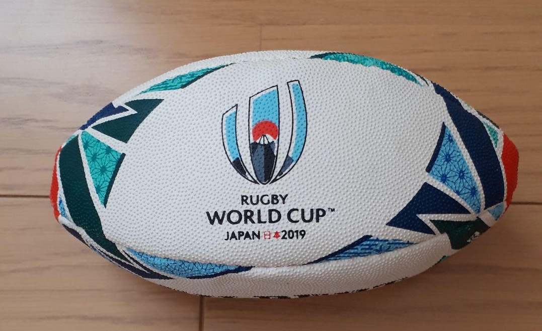 もうすぐラグビーワールドカップ19 優勝国予想しようと思ったけど難しい 難しすぎる ダイnamo スポーツと学びを楽しむ会計士のブログ